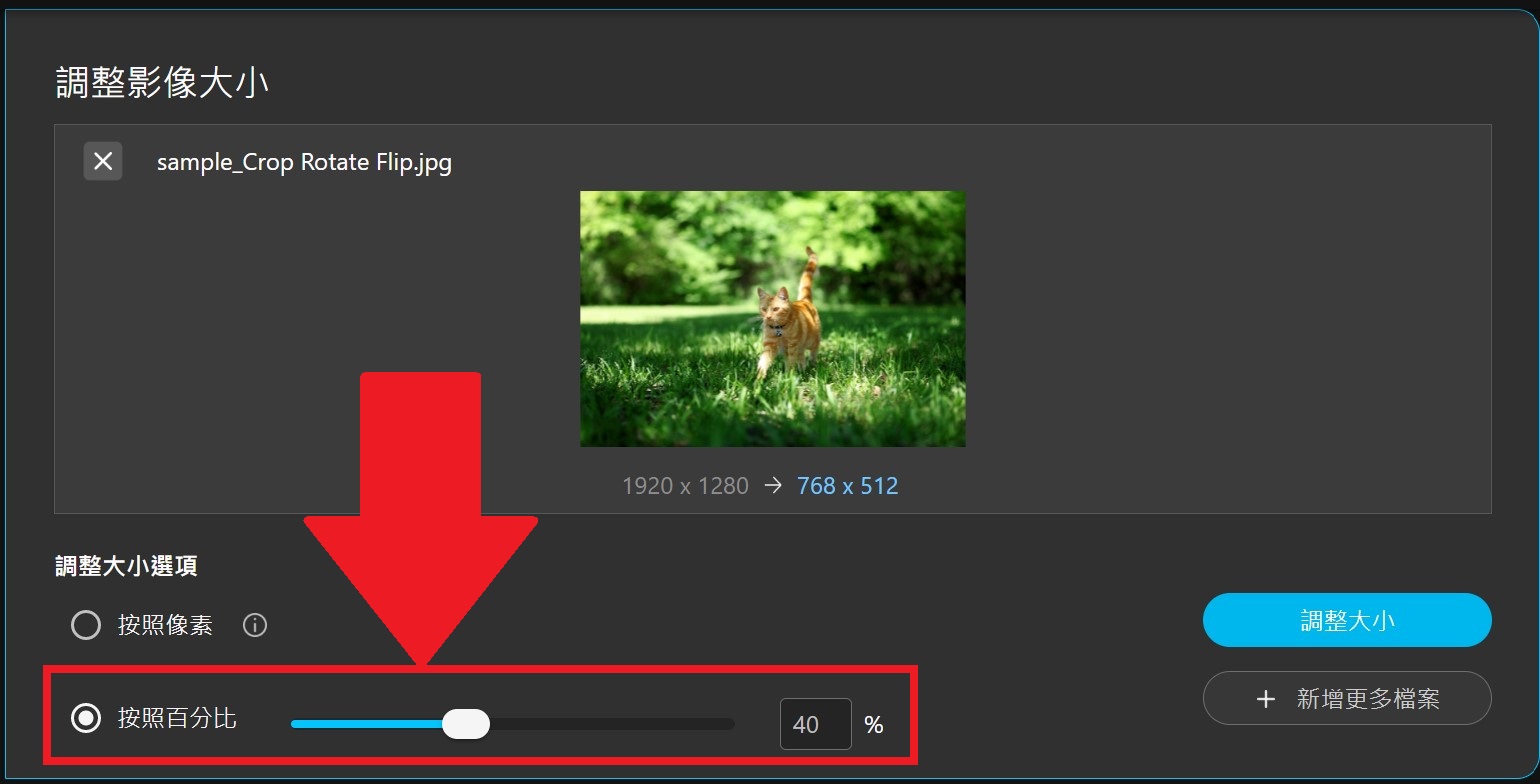 照片尺寸調整線上工具：調整照片大小